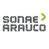 SONAE ARAUCO